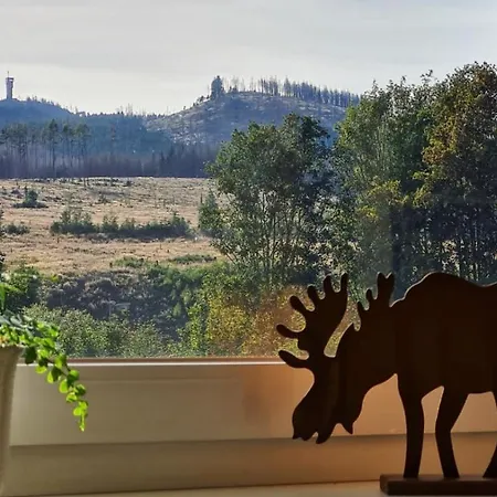 Hexenstieg & Wurmbergblick * Schierke