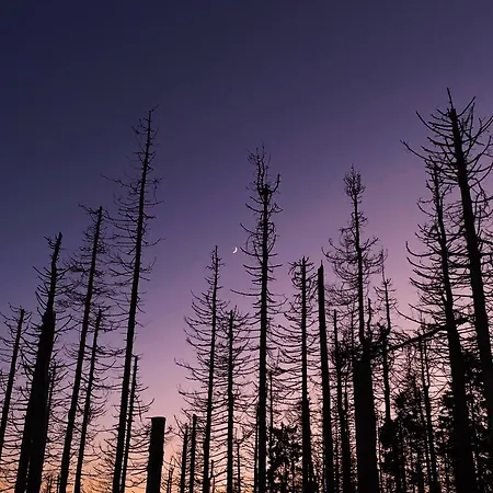 Apartamento Hexenstieg & Wurmbergblick *