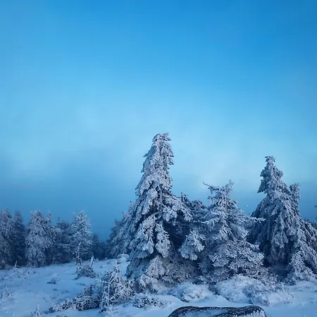 Apartamento Hexenstieg & Wurmbergblick *