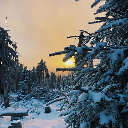 Hexenstieg & Wurmbergblick *