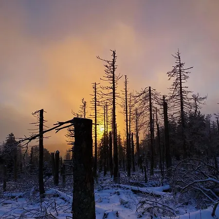 Hexenstieg & Wurmbergblick * Schierke