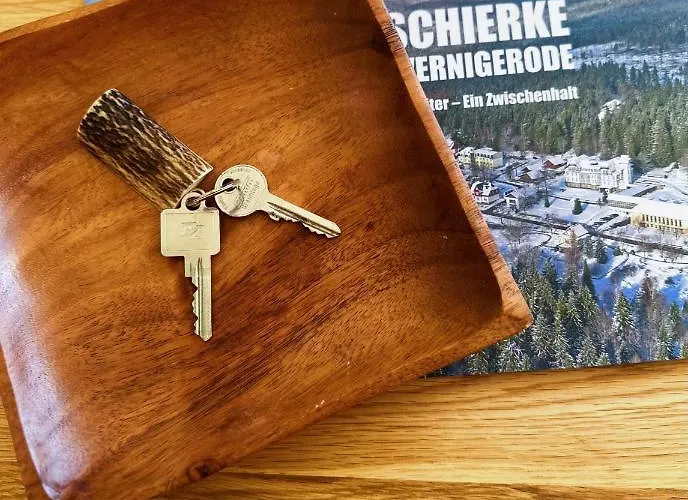 Hexenstieg & Wurmbergblick Apartamento Schierke