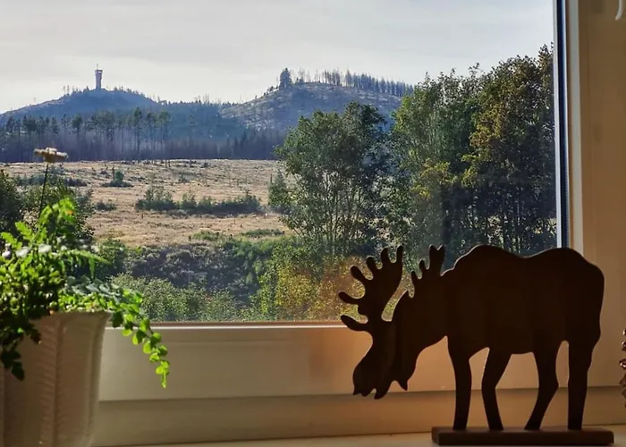 Hexenstieg & Wurmbergblick * Schierke