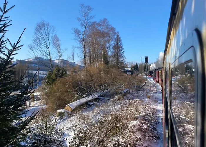 Appartamento Hexenstieg & Wurmbergblick *