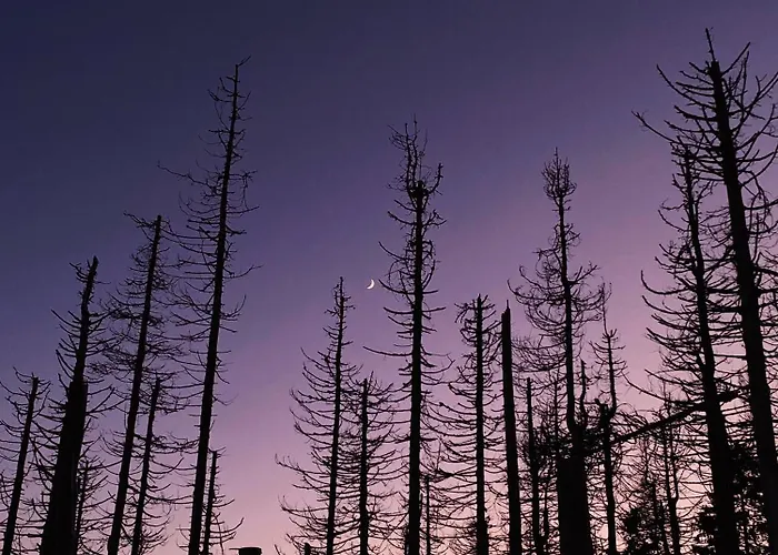 Appartamento Hexenstieg & Wurmbergblick *