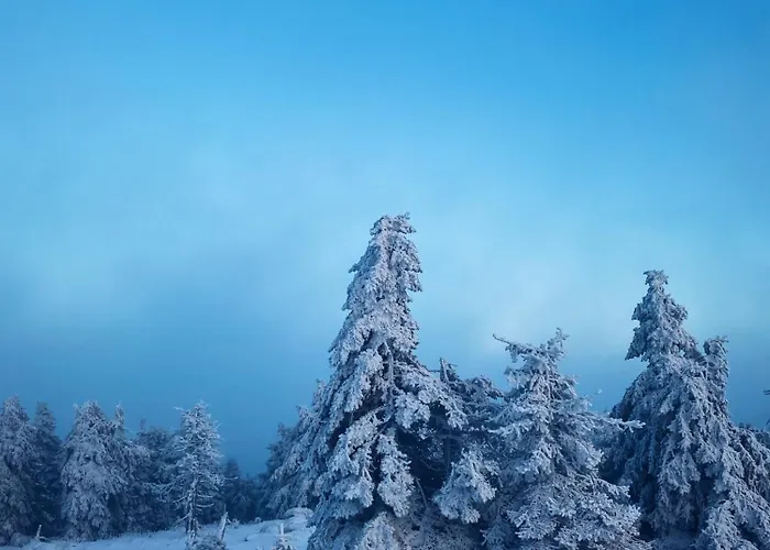 Apartamento Hexenstieg & Wurmbergblick *
