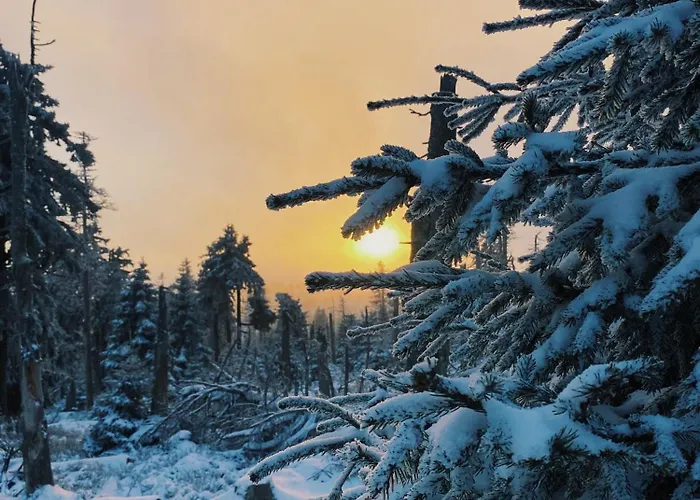 Hexenstieg & Wurmbergblick *