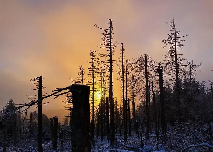 Hexenstieg & Wurmbergblick * Schierke