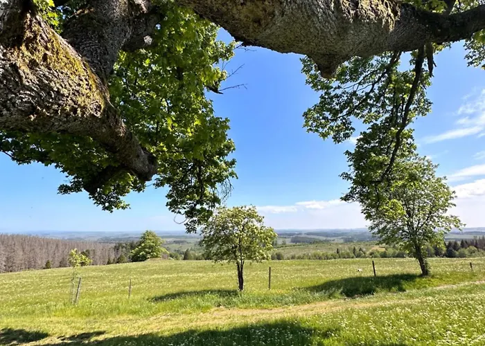 Hexenstieg & Wurmbergblick Appartamento Schierke
